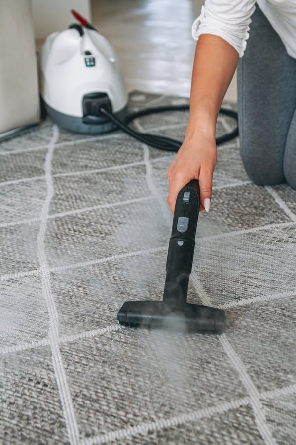 cleaning small area rug with steam cleaner