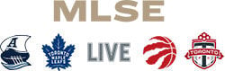 mlse logo