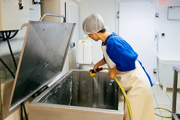 kitchen cleaning