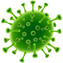 Illustration of a green virus or germ, shown as a circular shape with spike-like projections extending outward, resembling a microscopic view of a virus such as COVID-19.