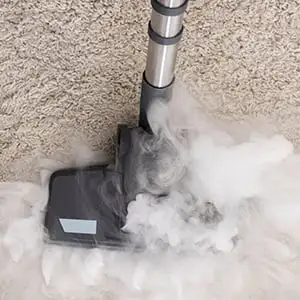 A steam cleaner head emits thick white steam while cleaning a light-colored carpet.