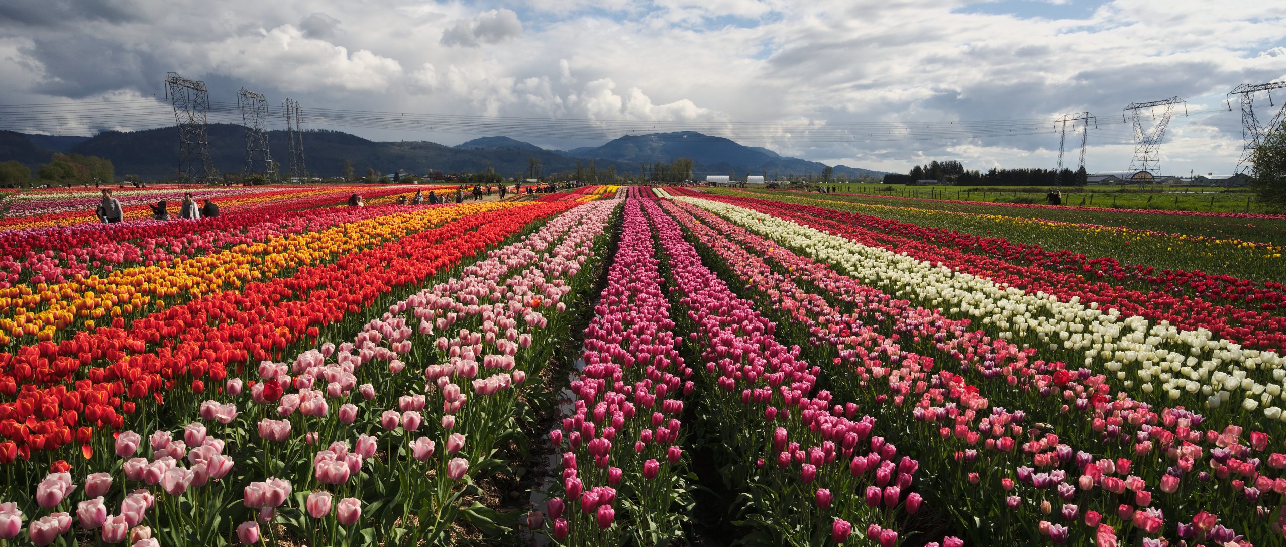 Abbotsford