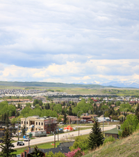 Cochrane
