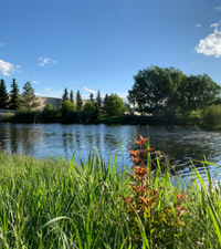 Sherwood Park